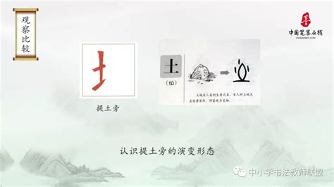 土部的字|土字旁的字有哪些